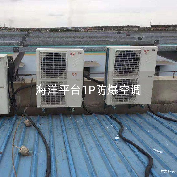 海洋平臺(tái)1P防爆空調(diào)